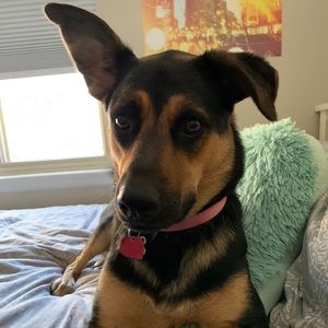 Meet your Posher, Erica